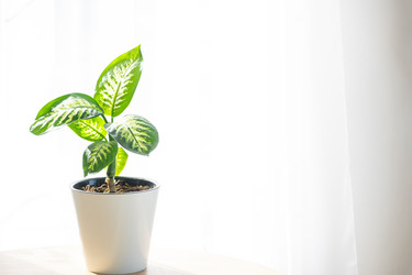 Similar image 21490695