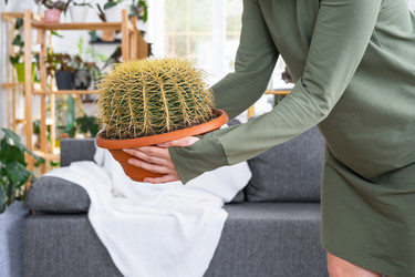 Similar image 21490702