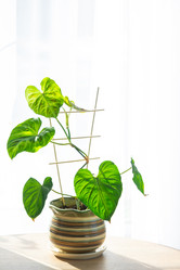 Similar image 21490703