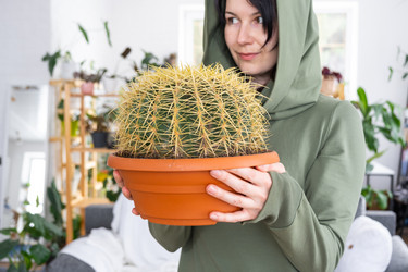 Similar image 21490704