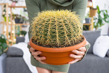 Similar image 21490706