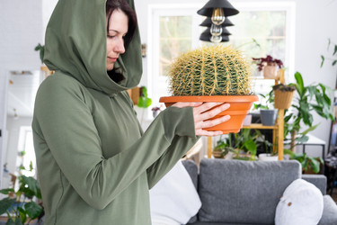 Similar image 21490708