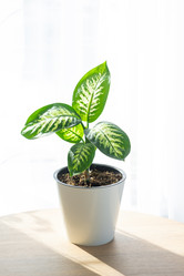 Similar image 21490709