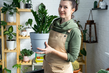 Similar image 21490712