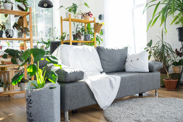 Similar image 21490717