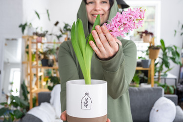 Similar image 21490722