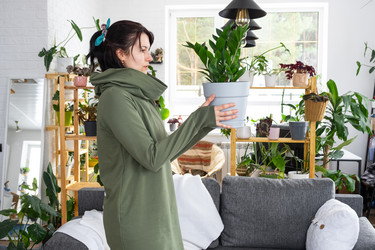 Similar image 21490724