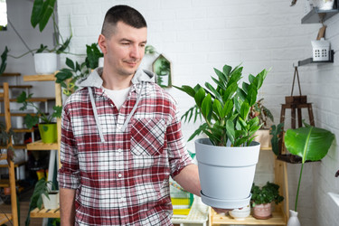 Similar image 21490725