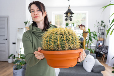 Similar image 21490728