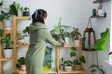 Similar image 21490729