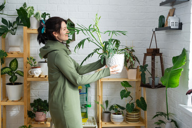 Similar image 21490730