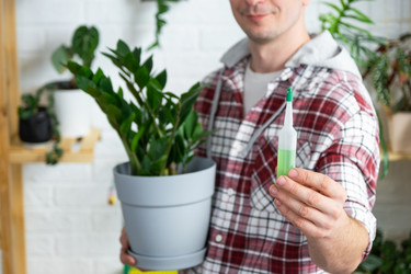 Similar image 21490734