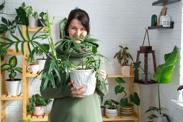 Similar image 21490735