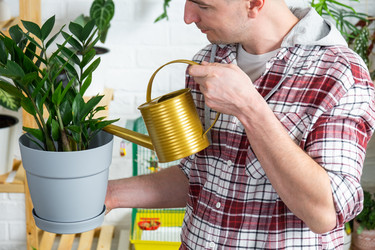 Similar image 21490736