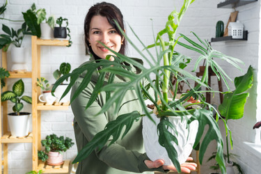 Similar image 21490737