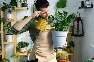 Similar image 21490743