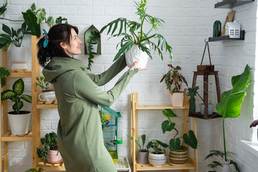 Similar image 21490745