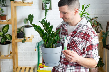 Similar image 21490746