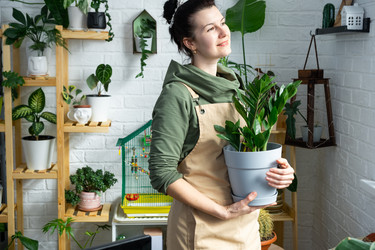 Similar image 21490747