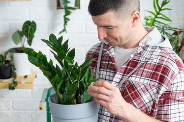 Similar image 21490748