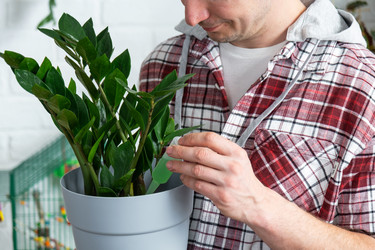 Similar image 21490749