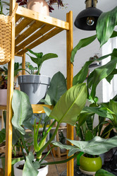 Similar image 21490754