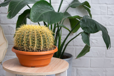 Similar image 21490755