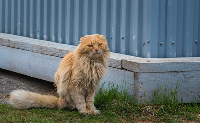 Similar image 21491396