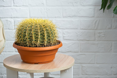 Similar image 21490757