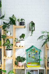 Similar image 21490759