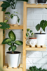 Similar image 21490760