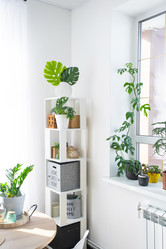 Similar image 21490779