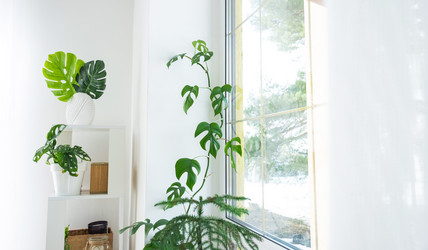 Similar image 21490781