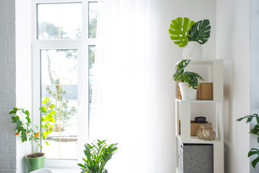 Similar image 21490783