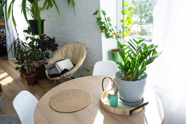 Similar image 21490784