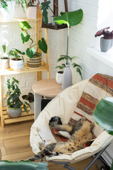 Similar image 21490786