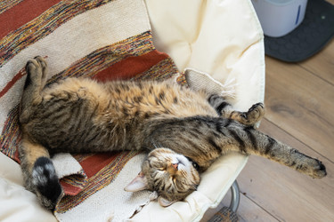 Similar image 21490789