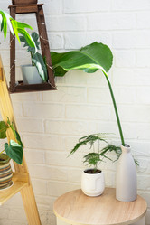 Similar image 21490795