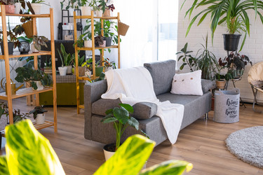 Similar image 21490798