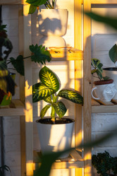 Similar image 21490799