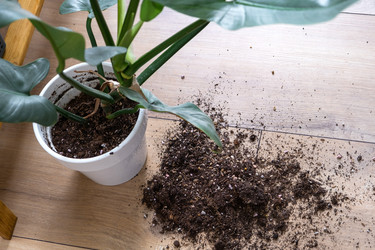 Similar image 21490802