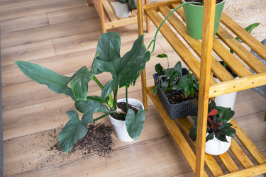 Similar image 21490808