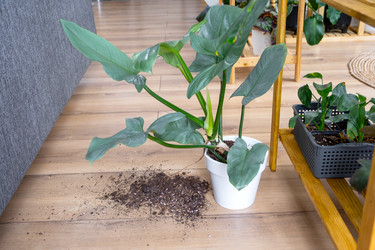 Similar image 21490809