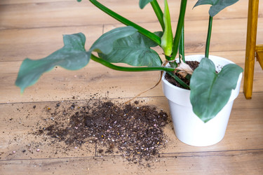 Similar image 21490810