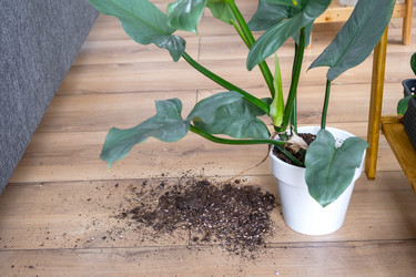 Similar image 21490811