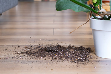 Similar image 21490814