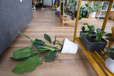 Similar image 21490816