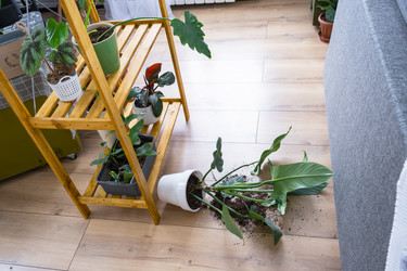 Similar image 21490818