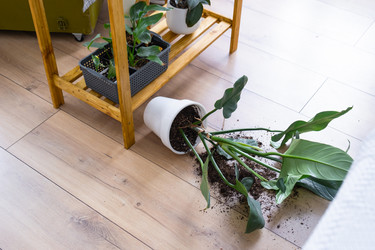 Similar image 21490822