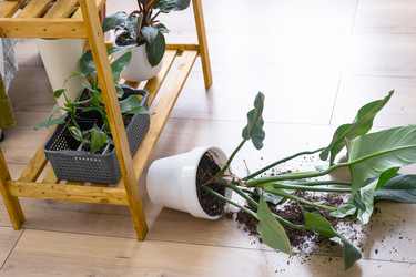 Similar image 21490825